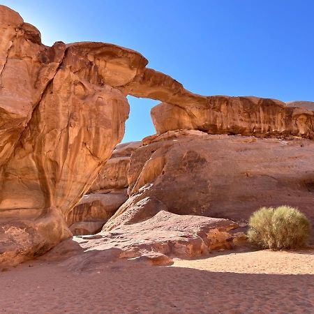 Wadi Rum Tents エクステリア 写真