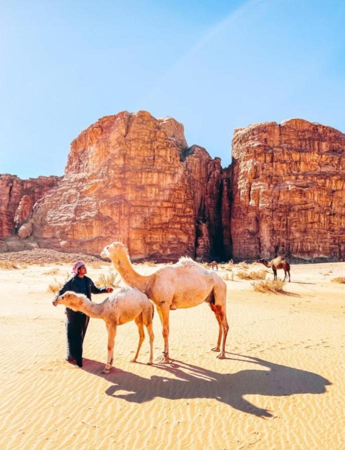 Wadi Rum Tents エクステリア 写真